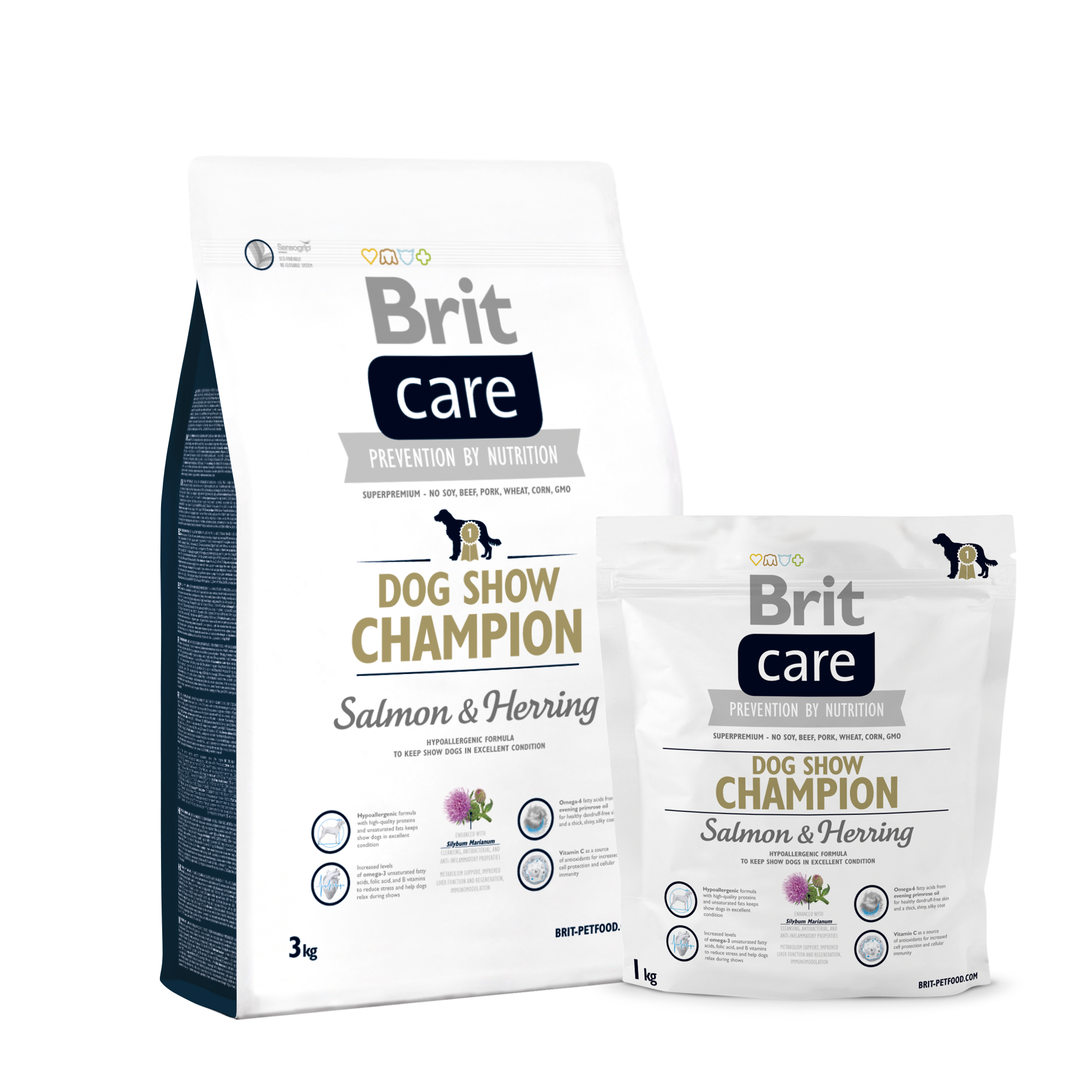 brit care dogshow champion