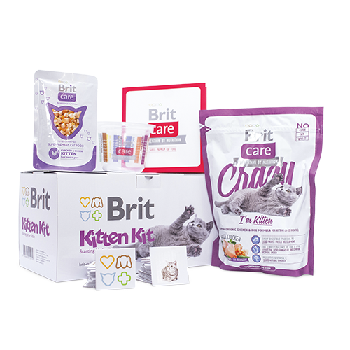 brit care kitten kit