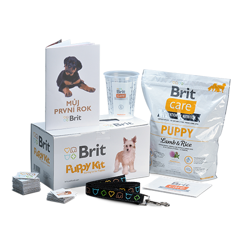 brit care puppy kit