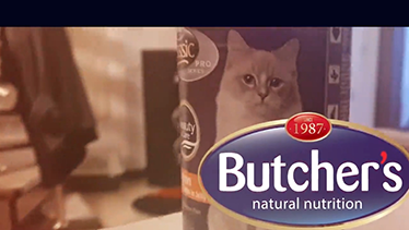 mcvities cat advert